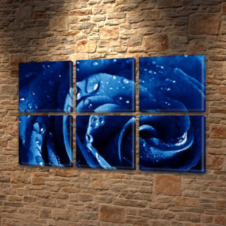 Модульна картина Синя троянда в росі на Холсті, 72x110 см, (35x35-6) - Інтернет-магазин спільних покупок ToGether
