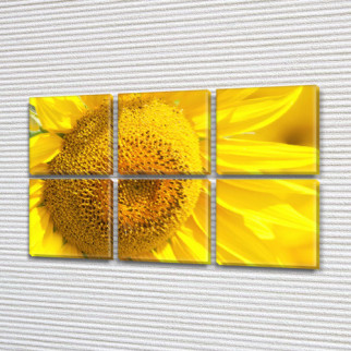 Модульна картина Квітучий соняшник на Холсті, 72x110 см, (35x35-6) - Інтернет-магазин спільних покупок ToGether