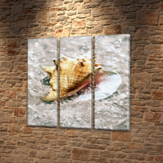 Модульні картини на кухню на Холсті, 95x95 см, (95x30-3) - Інтернет-магазин спільних покупок ToGether