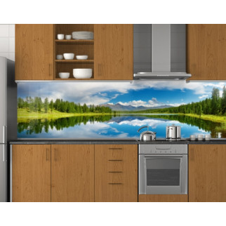 Стінова панель кухонна ПЕТ 62х205 см - Інтернет-магазин спільних покупок ToGether