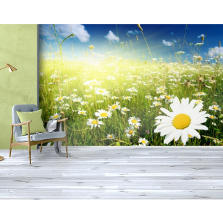 Фотошлях текстуровані, вінілові Квіти, 250х380 см, fo01inV_fl13598 - Інтернет-магазин спільних покупок ToGether