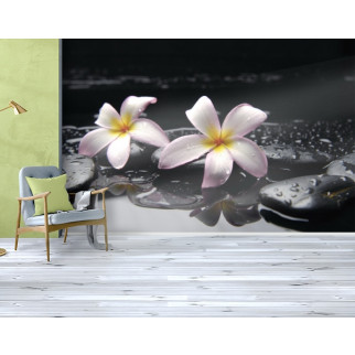 Фотошлях текстуровані, вінілові Квіти, 250х380 см, fo01inV_fl12324 - Інтернет-магазин спільних покупок ToGether