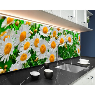 Панель кухонна, замінник скла ромашки в полі, з двостороннім скотчем 62 х 205 см, 1,2 мм - Інтернет-магазин спільних покупок ToGether