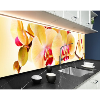Панель на кухонний фартух під скло орхідеї жовті, з двостороннім скотчем 62 х 205 см, 1,2 мм - Інтернет-магазин спільних покупок ToGether