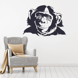 Трафарет для фарбування Шимпанзе-3, одноразовий із самоклейної плівки 95 х 135 см 115, 115 х 160 см, 160 - Інтернет-магазин спільних покупок ToGether