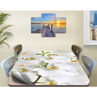 Покриття для столу, м'яке скло з фотопринтом, Білі орхідеї 60 х 100 см (1,2 мм) - Інтернет-магазин спільних покупок ToGether
