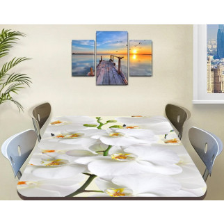 Покриття для столу, м'яке скло з фотопринтом, Білі орхідеї 60 х 100 см (1,2 мм) 120, 90 - Інтернет-магазин спільних покупок ToGether