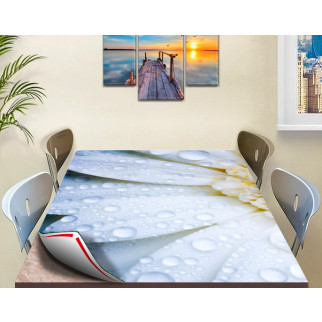 Покриття для столу, м'яке скло з фотопринтом, Роса на пелюстках 60 х 100 см (1,2 мм) - Інтернет-магазин спільних покупок ToGether