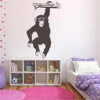 Трафарет для фарбування Шимпанзе-4, одноразовий із самоклейної плівки 160 х 95 см 190, 190 х 115 см, 115 - Інтернет-магазин спільних покупок ToGether