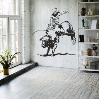 Трафарет для фарбування Родео, одноразовий із самоклейної плівки 110 х 95 см - Інтернет-магазин спільних покупок ToGether