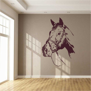 Трафарет для фарбування Голова коня, одноразовий із самоклейної плівки 140 х 95 см - Інтернет-магазин спільних покупок ToGether