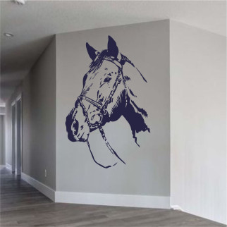 Трафарет для фарбування Голова коня, одноразовий із самоклейної плівки 140 х 95 см 170, 170 х 115 см, 115 - Інтернет-магазин спільних покупок ToGether