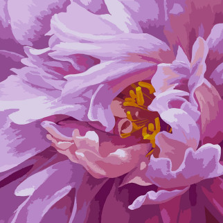 Картина за номерами SANTI Рожева феєрія 40*40 см (954430) - Інтернет-магазин спільних покупок ToGether