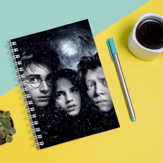 Скетчбук Sketchbook блокнот для малювання з принтом Гаррі Поттер і в'язень Азкабану - Harry Potter А3 Кавун 48 - Інтернет-магазин спільних покупок ToGether