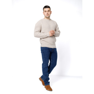 Чоловічі джинси регуляр 31 синій Redman ЦБ-00233098 - Інтернет-магазин спільних покупок ToGether