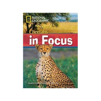Книга ABC Footprint Reading Library 2200 B2 Cheetahs in Focus! 32 с (9781424011131) - Інтернет-магазин спільних покупок ToGether