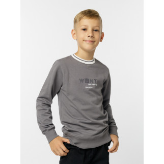 Світшот для хлопчика 134 сірий First kids ЦБ-00226164 - Інтернет-магазин спільних покупок ToGether