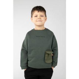 Світшот для хлопчика 122 темно-зелений Divonette ЦБ-00234636 - Інтернет-магазин спільних покупок ToGether