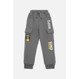 Спортивні штани для хлопчика 128 сірий Lizi Kids ЦБ-00220697 - Інтернет-магазин спільних покупок ToGether