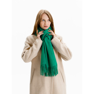 Шарф жіночий One Size зелений Cashmere Blend ЦБ-00223987 - Інтернет-магазин спільних покупок ToGether