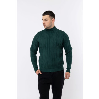Чоловічий светр L темно-зелений LAGODOMEE ЦБ-00224087 - Інтернет-магазин спільних покупок ToGether