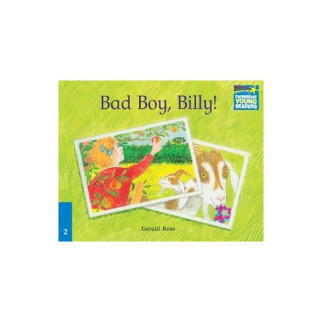 Книга Cambridge University Press CSB 2 Bad Boy Billy! 16 с (9780521752091) - Інтернет-магазин спільних покупок ToGether