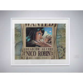 Плакат-постер з принтом Кавун One Piece Ван-Піс Розшуковий лист Nico Robin Ніко Робін A4 ПЛ000678(A4) - Інтернет-магазин спільних покупок ToGether