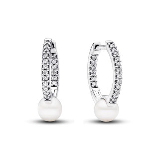 Срібні сережки з перлинами та паве 293171C01 - Інтернет-магазин спільних покупок ToGether