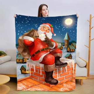 Плед 3D новорічний Санта Клаус №2 3084_A 13839 160х200 см - Інтернет-магазин спільних покупок ToGether