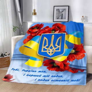 Плед 3D патріотичний "Україно моя" 2660_B 12596 135х160 см - Інтернет-магазин спільних покупок ToGether