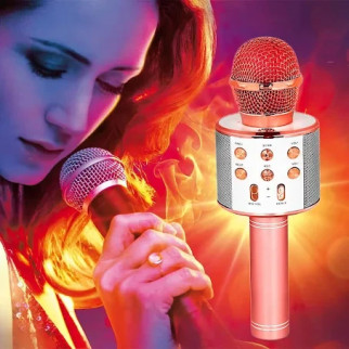 Мікрофон для караоке з динаміком ws-858 Bluetooth Маленький мікрофон USB-мікрофон Золотий-рожевий - Інтернет-магазин спільних покупок ToGether