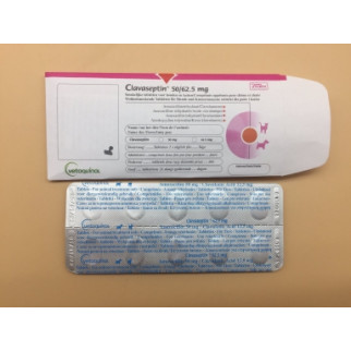 Клавасептин в таблетках №11 62,5 мг - Інтернет-магазин спільних покупок ToGether