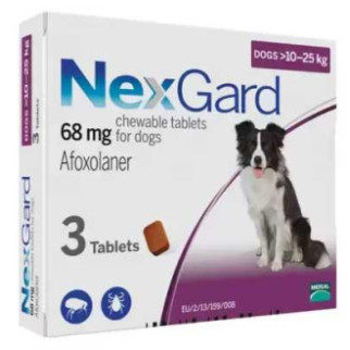 Таблетки Nexgard від бліх та кліщів для собак вагою 10-25кг, 1 таблетка - Інтернет-магазин спільних покупок ToGether