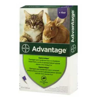 Краплі Advantage-80 від бліх для котів вагою від 4 до 8 кг, 4 піпетки - Інтернет-магазин спільних покупок ToGether