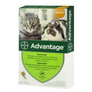 Краплі Advantage-40 від бліх для кішок і кроликів, 4 піпетки - Інтернет-магазин спільних покупок ToGether