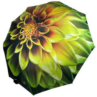 Жіноча парасоля напівавтомат з принтом квітки від Toprain на 9 спиць салатова ручка 0703-2 - Інтернет-магазин спільних покупок ToGether