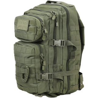 Рюкзак тактичний Kombat UK Small Assault Pack 28L Олива (KB-SAP-OLGR) - Інтернет-магазин спільних покупок ToGether