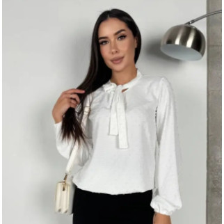 Стильна жіноча блуза з довгими рукавами біла блузка з бантом нарядна - Інтернет-магазин спільних покупок ToGether