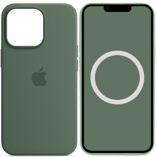 Чохол Silicone case (AAA) full with Magsafe and Animation для Apple iPhone 13 Pro Max (6.7") Зелений / Eucalyptus - Інтернет-магазин спільних покупок ToGether