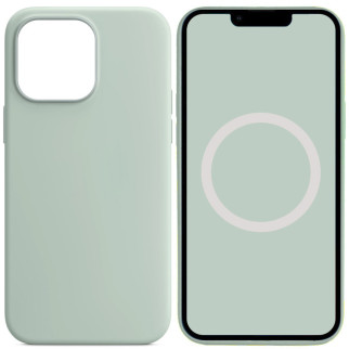 Чохол Silicone case (AAA) full with Magsafe and Animation для Apple iPhone 14 Pro (6.1") Бірюзовий / Succulent - Інтернет-магазин спільних покупок ToGether