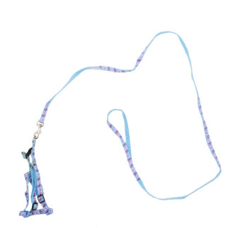 Комплект шлеяповодок дитячий малюнок 1,0х18-30120см - Інтернет-магазин спільних покупок ToGether