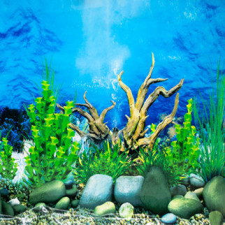 Фон односторонній для акваріума Китай 40см довжина 25м - Інтернет-магазин спільних покупок ToGether
