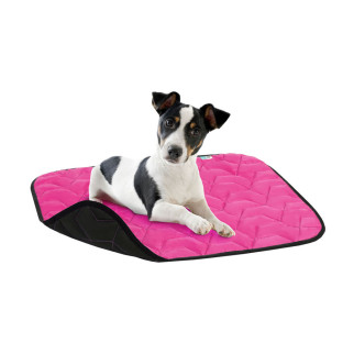 Підстилка для собак AV, розмір S, 55*40 см, рожево-чорна - Інтернет-магазин спільних покупок ToGether