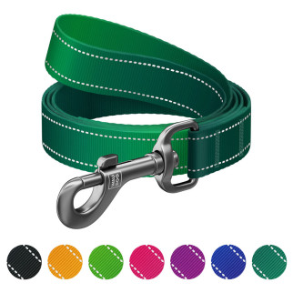 Повідець для собак нейлоновий WAUDOG Nylon Mono, світловідбивний, M, Ш 20 мм, Дов 122 см зелений - Інтернет-магазин спільних покупок ToGether