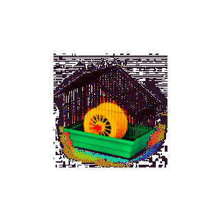 Клітка для гризунів Хатинка цинк, Лорі 28х18х29 см - Інтернет-магазин спільних покупок ToGether