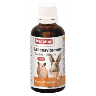Lebens Vitamine вітаміни для гризунів 50мл Беафар 13173 50мл - Інтернет-магазин спільних покупок ToGether