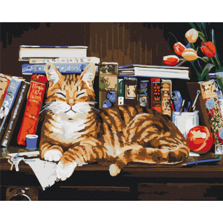 Кіт на книжковій полиці - Інтернет-магазин спільних покупок ToGether