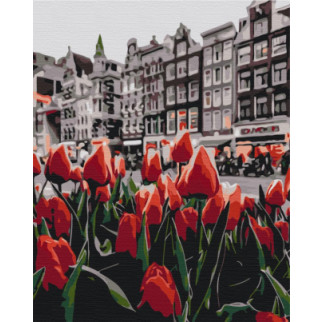 Тюльпани Амстердаму - Інтернет-магазин спільних покупок ToGether