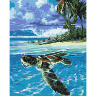 Тропічна черепаха - Інтернет-магазин спільних покупок ToGether