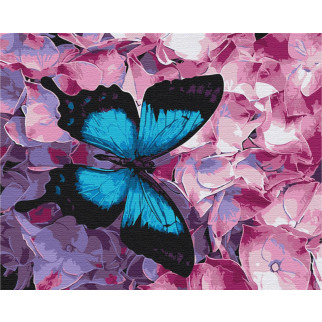Метелик на квітах - Інтернет-магазин спільних покупок ToGether